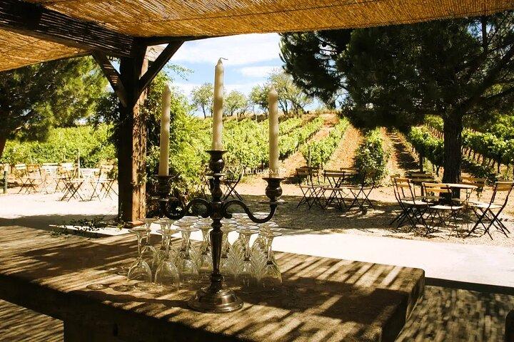 Excursion Viticole en Roussillon : Journée Pique-Nique & Tasting