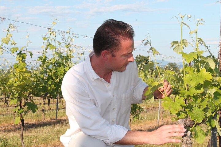 Goût de Provence - Vins et paysages autour d'Aix-en-Provence