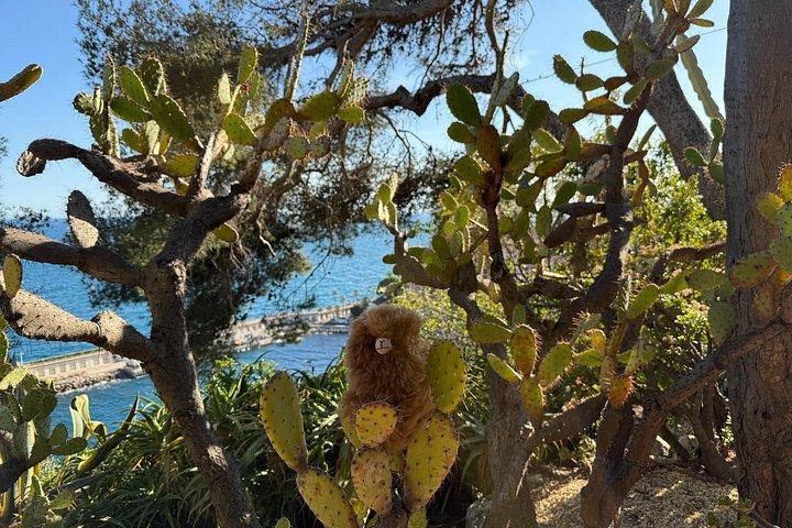 Visite guidée privée d'une journée à Monaco