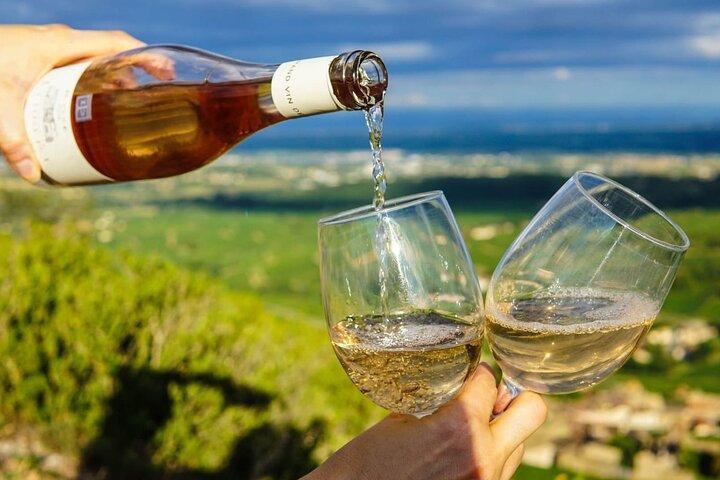 Visite privée de dégustation de vins à Chablis Bourgogne au départ de Paris