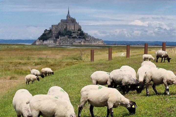 Visite guidée à pied de 2 h du Mont Saint Michel