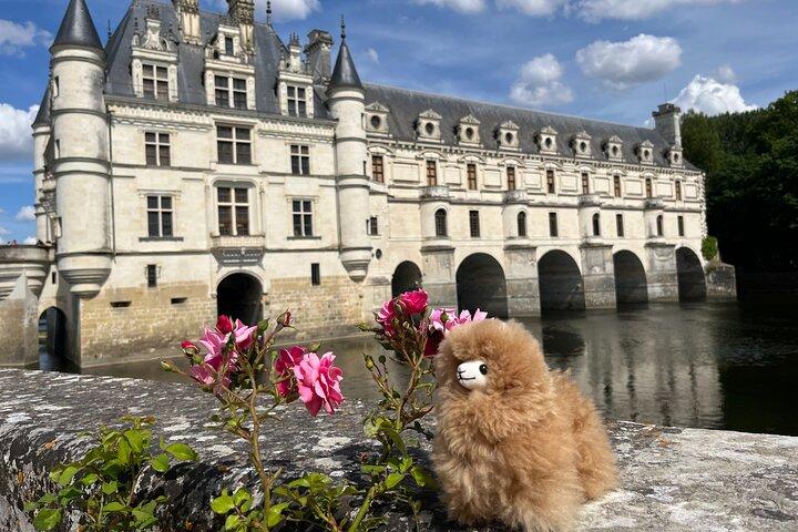 Petit Groupe 3 Châteaux de la Loire et dégustation de vins Visite guidée