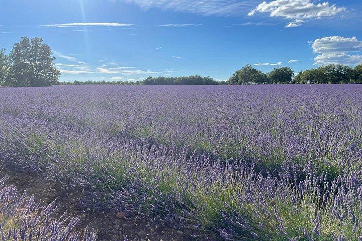 Provence perle du sud de la France