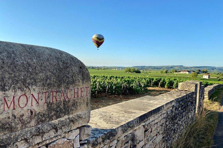Visite privée sur mesure des vins de Bourgogne : Vins et vignobles exclusifs