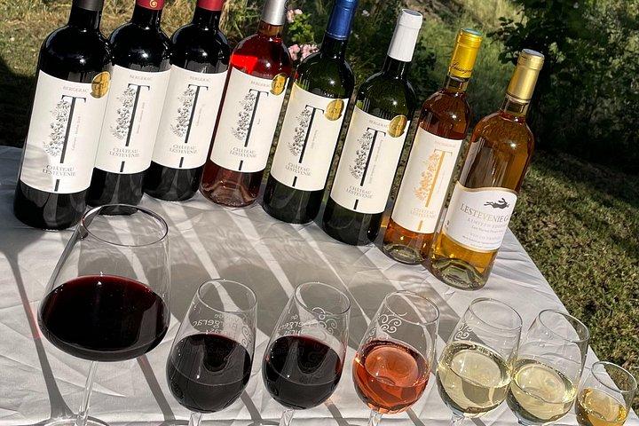 Dégustation de vin au Château Lestevenie
