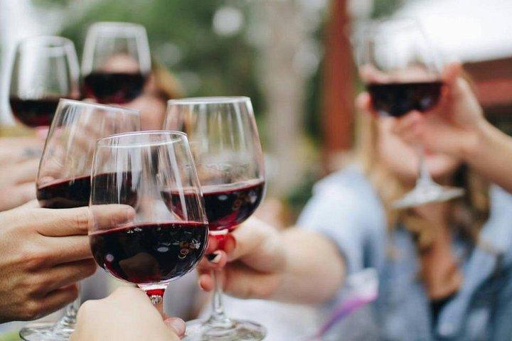 Excursion d'une demi-journée à Bordeaux et Saint Émilion avec dégustations