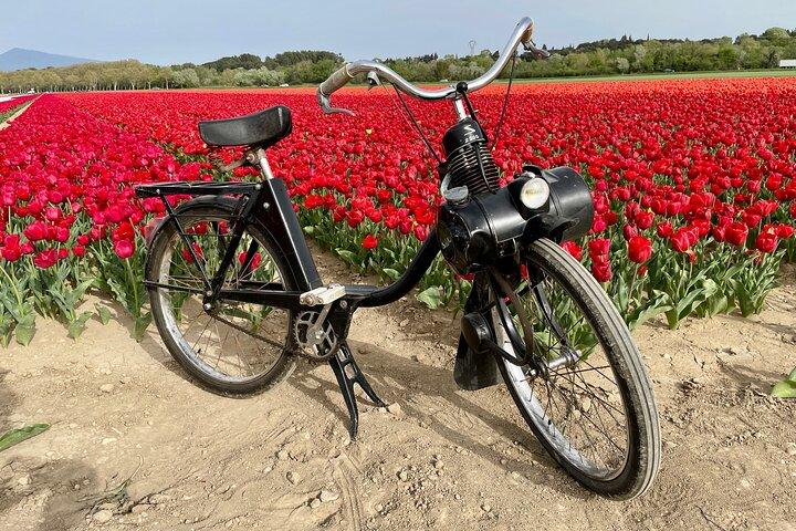 Balade en Solex et Dégustation au Domaine les Aphillanthes