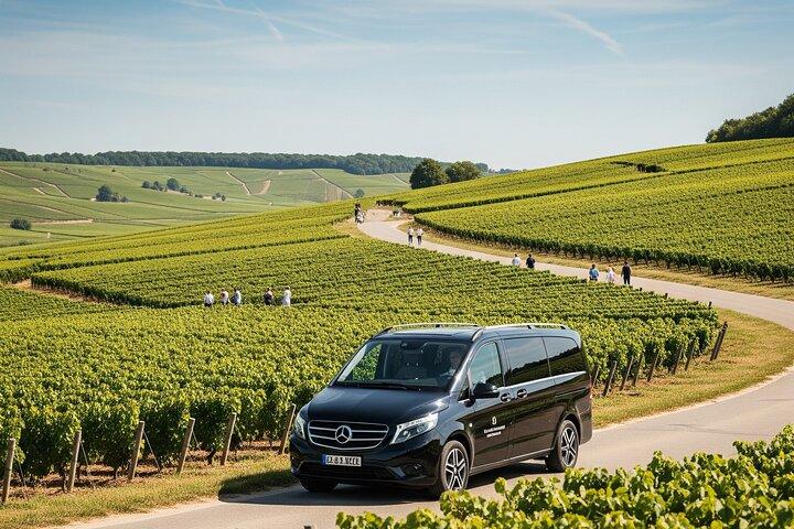 Visite privée à Dijon avec votre guide officiel