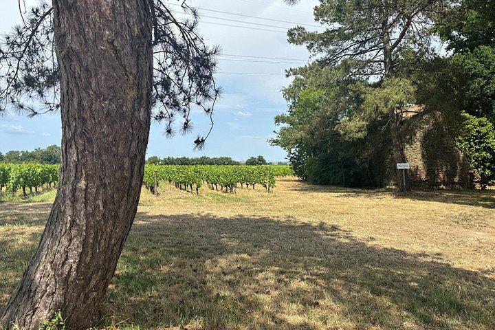 Une Nuit en Chardonnay