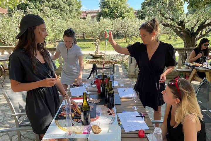 Activité d'Assemblage de Vins entre Avignon et Nîmes