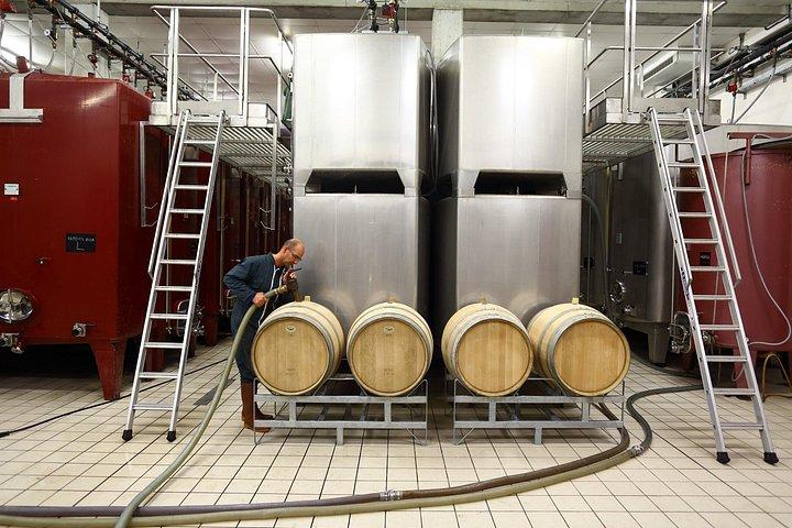 Visite et Dégustation de 4 Crémants de Bourgogne 1h30