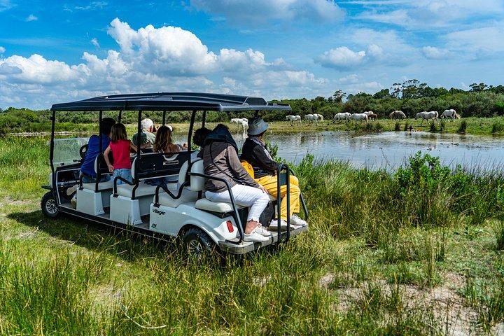 Safari Camargue en Voiture Électrique dans une Réserve naturelle