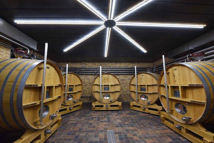 Visite de cave et dégustation Champagne Domaine Coutant