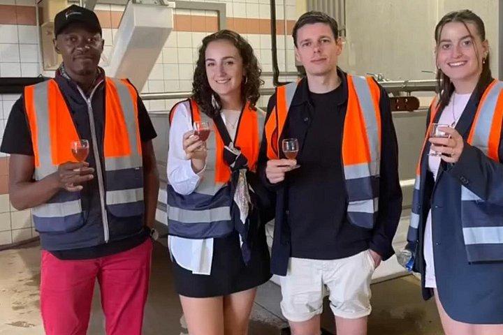 Journée complète de 8 heures de vendanges à Epernay