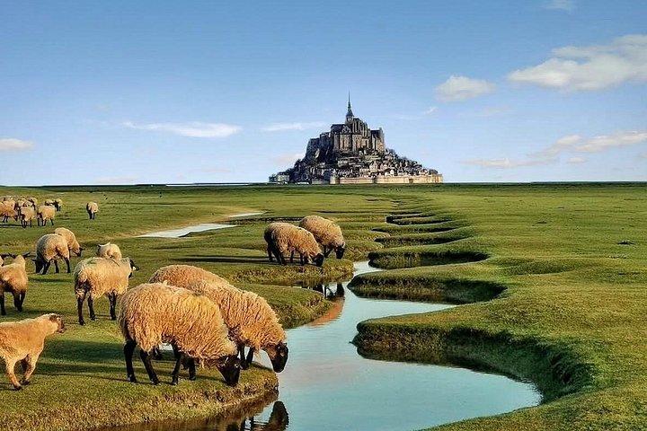 Excursion privée d'une journée au Mont-Saint-Michel et Rouen au départ de Paris