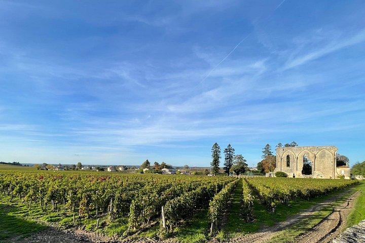 Depuis Bordeaux Demi Journée à Saint-Emilion en Van Privatif