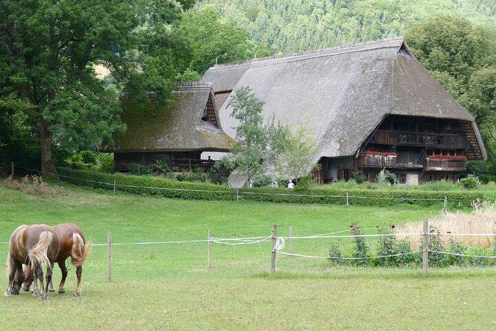 De Strasbourg : Excursion d'une journée en Forêt-Noire