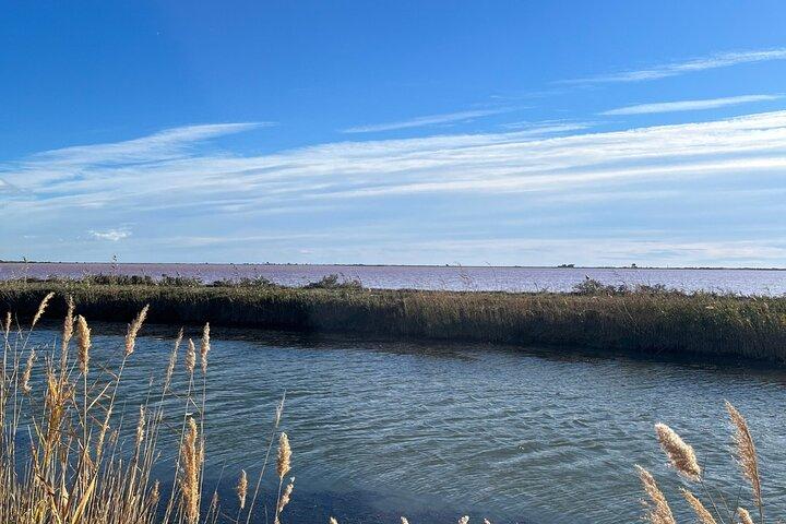 Excursion privée d'une journée en Camargue et à Aigues-Mortes