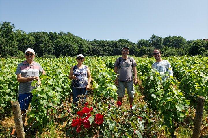 Tour privé en Bourgogne avec votre guide professionnel !