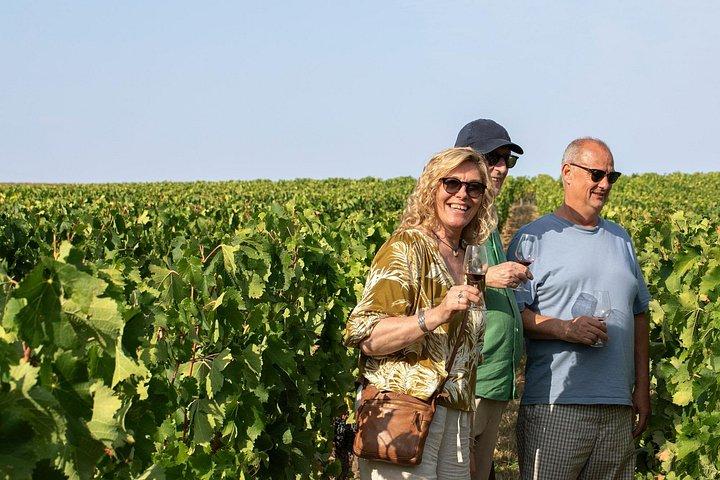 Visite d'une journée complète à Saint Emilion : Châteaux de premier niveau et déjeuner inclus