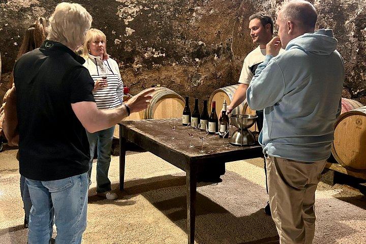 Depuis Lyon : Beaujolais Signature Experience Vin