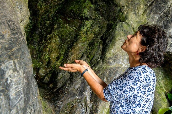 Excursion d'une journée à Lourdes au départ de Bordeaux avec visites
