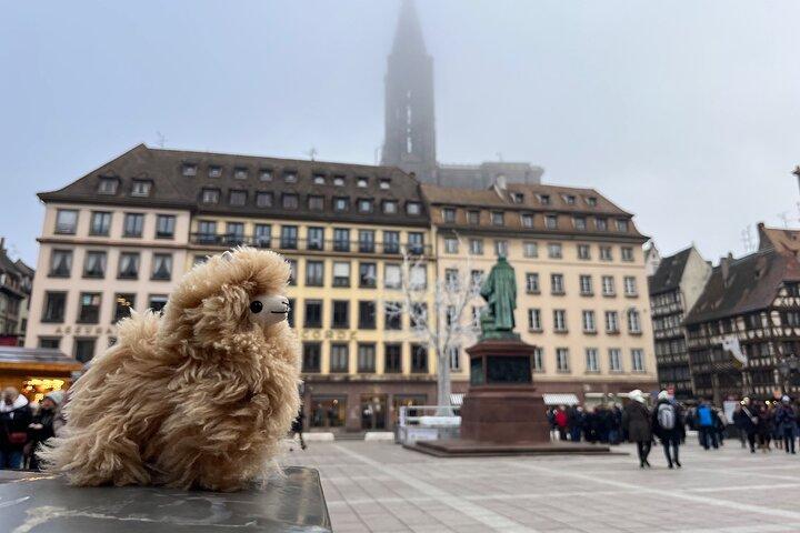 Excursion d'une journée au Luxembourg au départ de Strasbourg