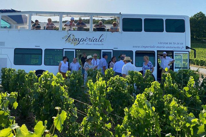 Visite Privée d'Epernay et Vignobles en Bus avec Champagne