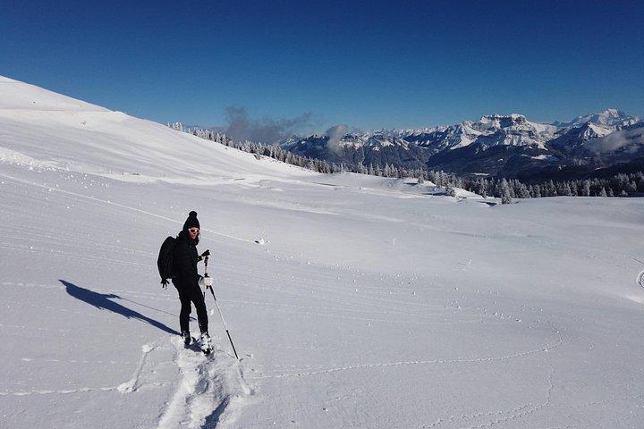 Balade en raquettes à proximité d'Annecy