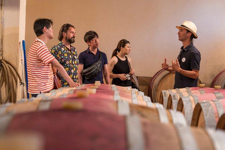 Luberon et Chateauneuf du Pape Tour des Vins