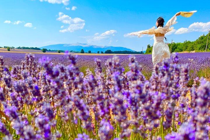 Une journée dans les Lavandes et Villages de Provence