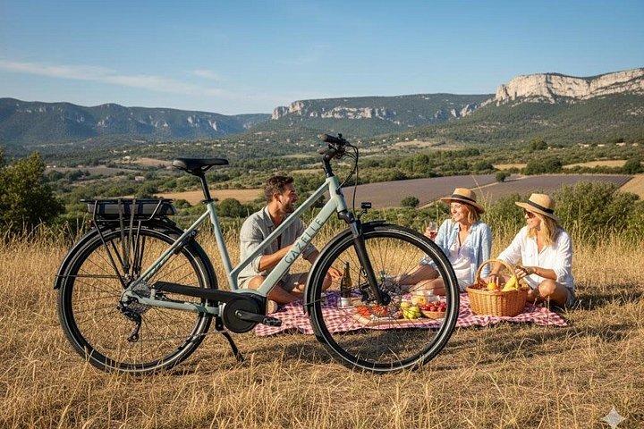 Pic nic à vélo électrique au milieu des champs d'oliviers