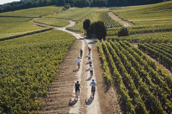 Reims : journée en Champagne à vélo électrique avec dégustations