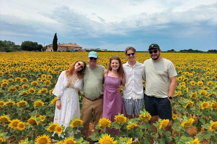Visite gastronomique à la campagne, dégustation de vins et apéro pétanque avec pique-nique