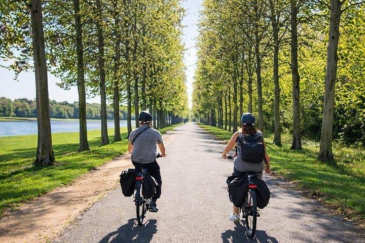 Paris à Versailles en Vélo Électrique : Marché, Picnic et Château