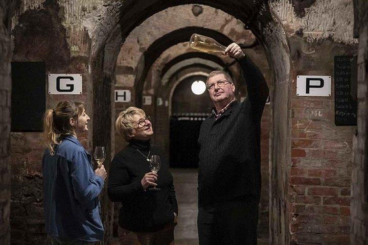 Visite de cave à vin et dégustation