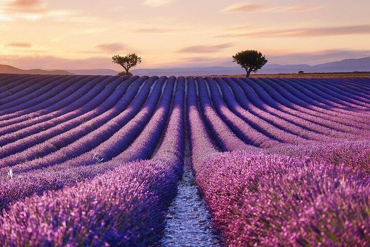 7 jours Best of Provence