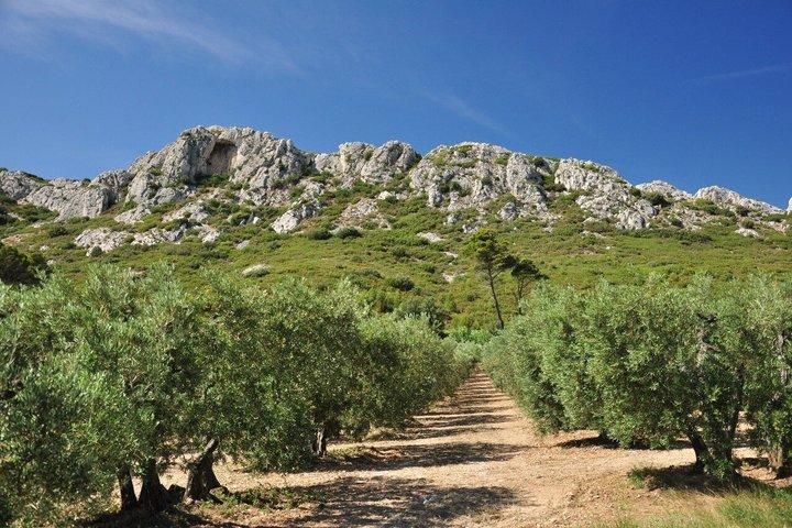 Villages de Saint-Rémy, les Baux de Provence & le Pont du Gard