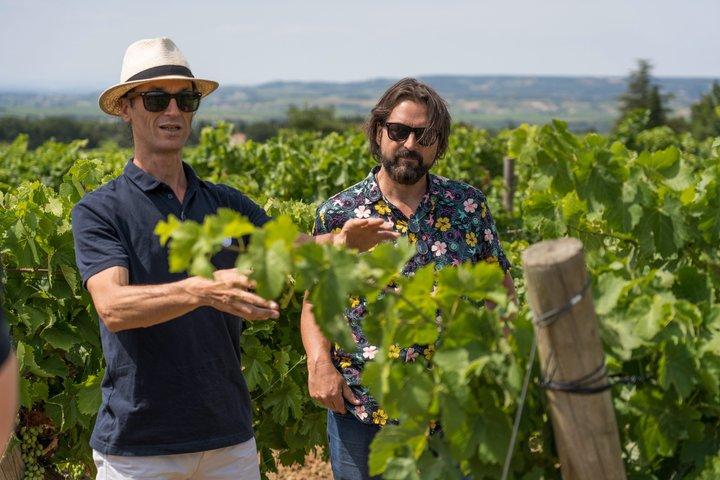 Un après-midi à Chateauneuf du Pape depuis Avignon