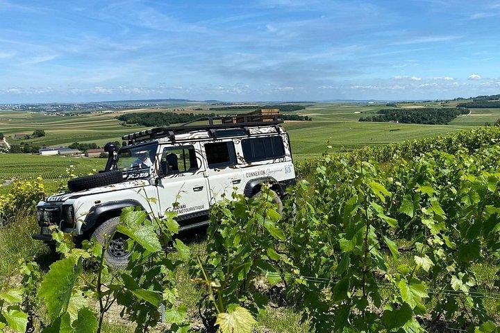 Une journée en Champagne : visite et dégustation