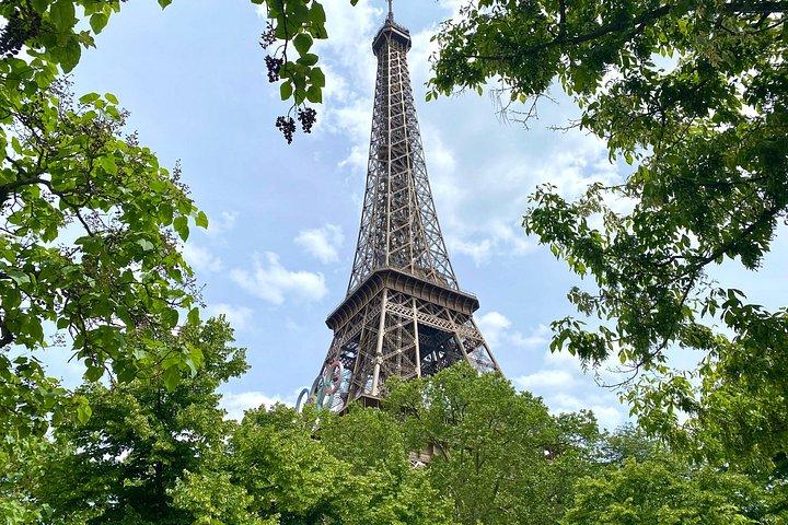 Visite de la Tour Eiffel jusqu'au Sommet en ascenseur avec un Guide privé