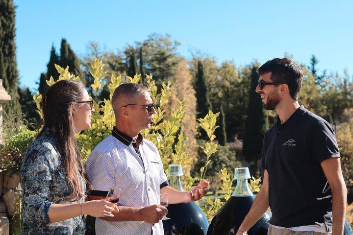 Saint-Paul-de-Vence et dégustation de vin Visite de l'après-midi au départ de Nice