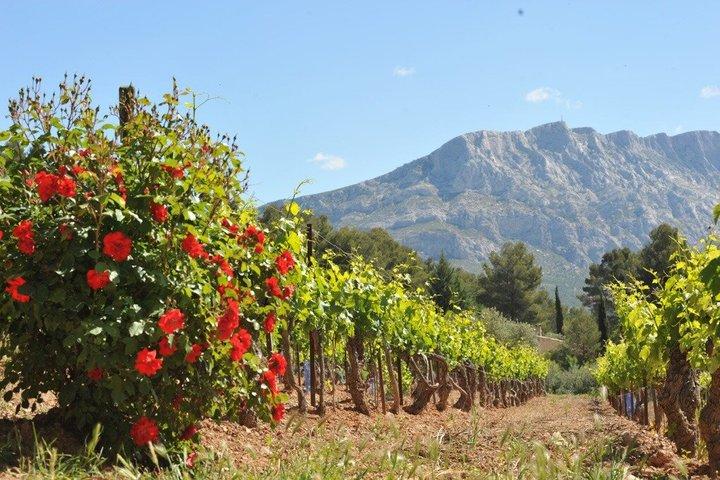 Anglais - Visite des vins de Provence près d'Aix-en-Provence Dégustation et visite