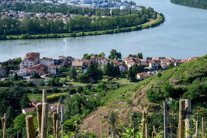 Visite privée du vin de la vallée du Rhône Nord au départ de Lyon