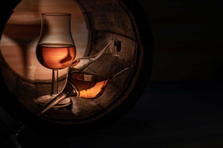 Excursion du vin de cognac au safari des vignobles et au château royal