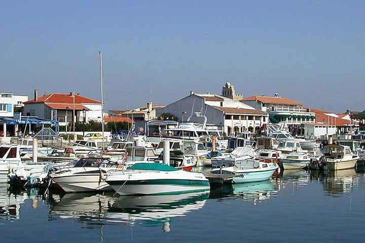 Les Saintes Marie de la Mer, la Camargue et Arles, journée privée