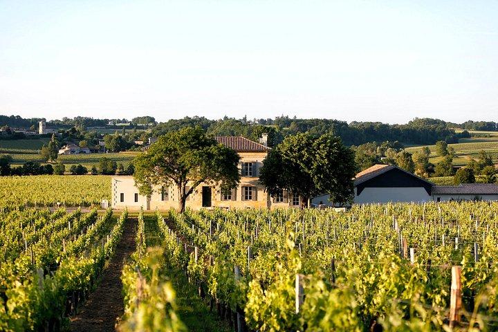 Château Grangey Visite et dégustation au coeur du vignoble