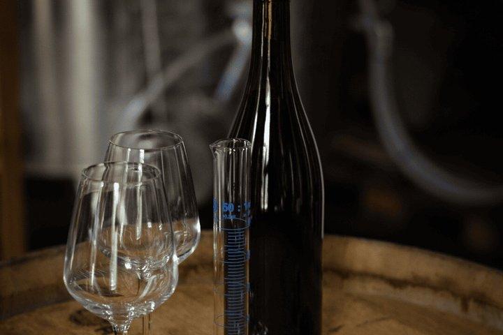 Initiation à l'assemblage : créez votre propre vin