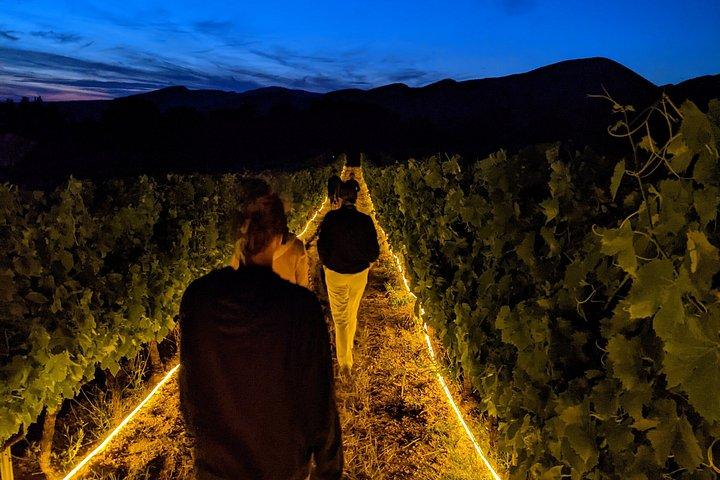 Entre Vignes et Lumières Nocturnal Vineyard Adventure