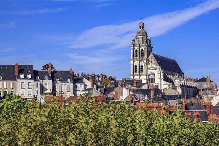 Bonjour Blois : Private 2 - Heure Intro City Walk avec Guide Local